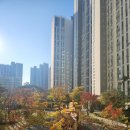 보너스공인중개사사무소 이미지