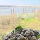 해양공원 B동 이미지