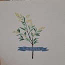 처음 만나는 수채화 이미지