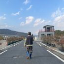 가덕 코이 이미지