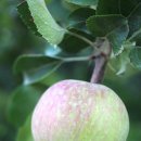 소백산마을농촌체험휴양마을 이미지