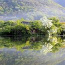 삼문빌딩 | [경상남도 밀양시] 삼성스토어 밀양