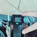 986 | 간헐적 단식 효과 986일차 후기