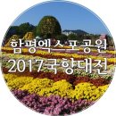 품바손짜장 | 전남/함평 가볼만한곳) 2017 대한민국 국향대전 - 함평 국화축제 10월20일 ~ 11월5일 후기