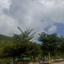 울산 울주군 소호랑계곡 천막 평상 12번 대여 후기 (+명당 자리)