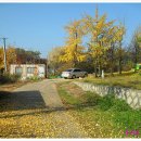 파주필립스주유소 이미지