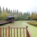 경상남도수목원(수생식물원) 이미지