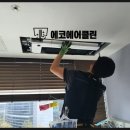 에코트리니티
