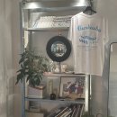 6086 | 분카샤 을지로점ㅣ힙지로 감성카페