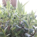 용담하우스 이미지