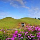 천천세탁 이미지