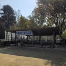 별바위목장 | 양평양떼목장/실망가득양떼목장/경기도아이와갈만한곳/양떼목장핑크뮬리/서울근교갈만한곳