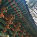 대장금마실길(1코스) 이미지