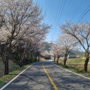 문막초 취병분교장 이미지