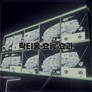 락티움, 뇌 활성화와 기억력 개선에 탁월한 효과! 이미지