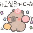 D300 골프아카데미 이미지