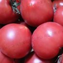 은율농장 이미지