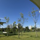 아이벗치킨 내수점 이미지