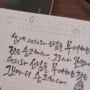 대의 이미지