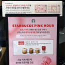 스타벅스 핑크리유저블컵 이벤트 꿀팁 헤이즐넛 클라우드 모카 후기