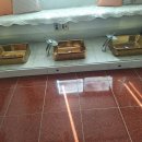 스킨앤바디 이미지