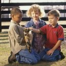 은편농장 이미지