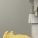 랜더스치과의원 네이버블로그