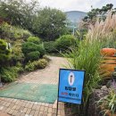 사)대구광역시장애인부모회 | 대구 네이처파크 할로윈 축제 주차, 입장료 할인