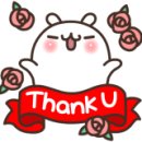 금호타이어 춘천대리점 이미지