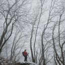14차15구간 2024/12/15/21km 한티재＞운주산＞봉좌산 ＞도덕산삼거리＞오룡고개 이미지