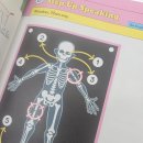 정철학원 | 탕정영어학원 정철어학원 탕정캠퍼스 이용후기