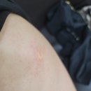 진례의원 이미지