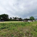 목도강수욕장 이미지