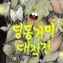 딩동거미 대작전/ 신성희 (지은이)// 한림출판사 이미지