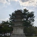 도지앞마을 | 250410-11 공주