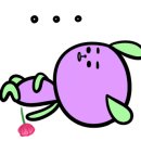 와플대학광명하안캠퍼스