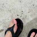 트리밸리 이미지