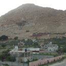 삭개오와뽕나무 이미지