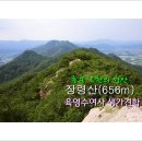 제177차 정기산행 옥천의 명산 장령산(656m) *용암사쌍삼층석탑,마애여래입상/기암/금천계곡/육영수여사생가탐방* 산행공지 2014.08.24.06:00출발 이미지