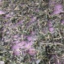 부부회관 이미지