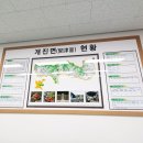 개진면사무소 이미지