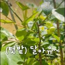 구평어린이집