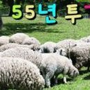 신의주찹쌀순대&숯불갈비 이미지