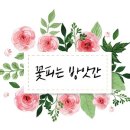 [심화반수업후기] 파주앙금플라워클래스/파주떡케이크/파주앙금플라워