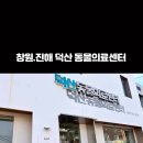 진해동물의료센터 이미지