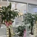화이트 빌 | [킨텍스미용실] 빌로브헤어에서 테슬컷 나노힐 클리닉으로 윤기나는 머리결