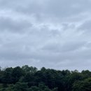 WR(서울특별시)-[고덕로]-하-27 | 10월 2주 - 연휴동안의 책과 달리기와 빵, 5 Miles Easy, 서울레이스와 교훈