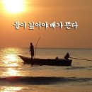 금융보험연구소(
