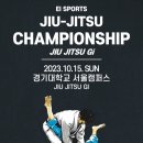 익스트림 컴뱃팀 이미지