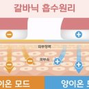 갈바닉 쓰는 애들아 양이온 음이온 어케구분해 이미지